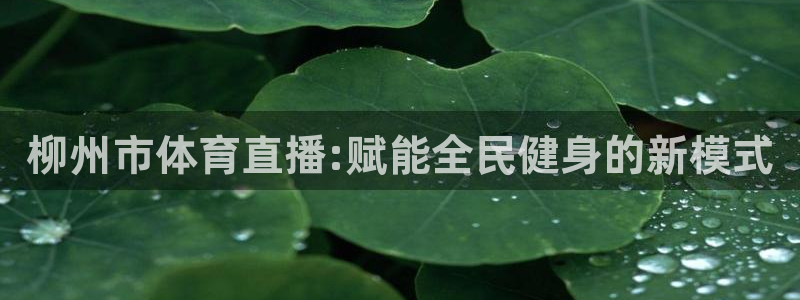 柳州市体育直播:赋能全民健身的新模式
