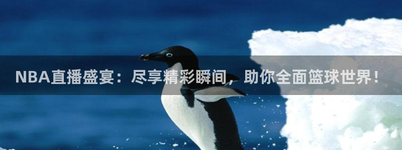 NBA直播盛宴：尽享精彩瞬间，助你全面篮球世界！