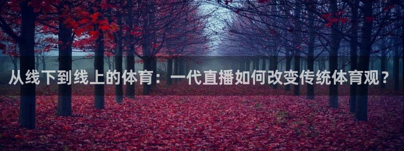 从线下到线上的体育：一代直播如何改变传统体育观？
