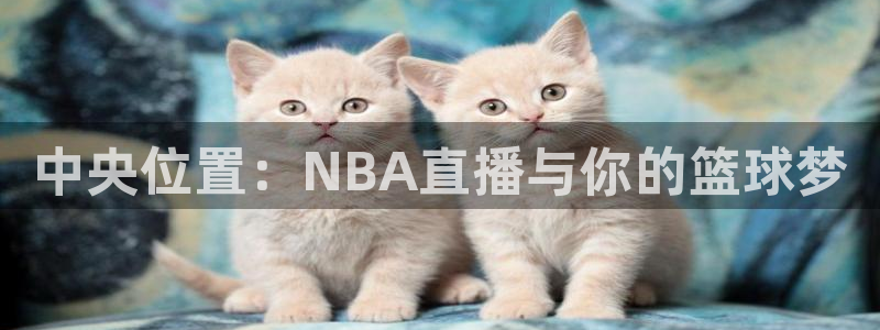 中央位置：NBA直播与你的篮球梦