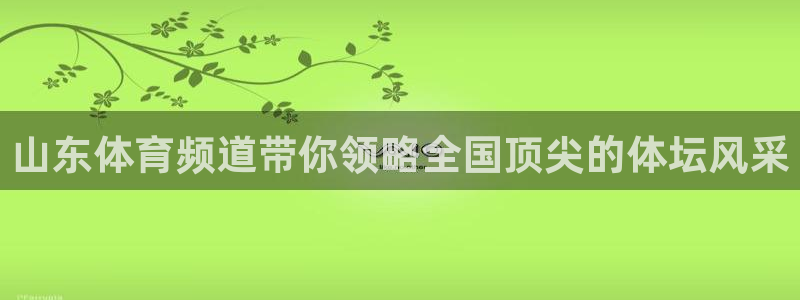 山东体育频道带你领略全国顶尖的体坛风采